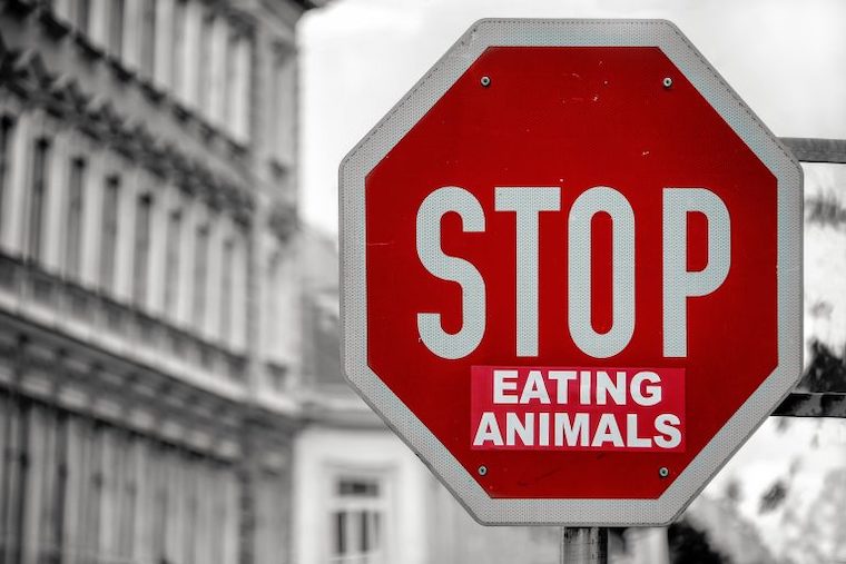 Stop sign