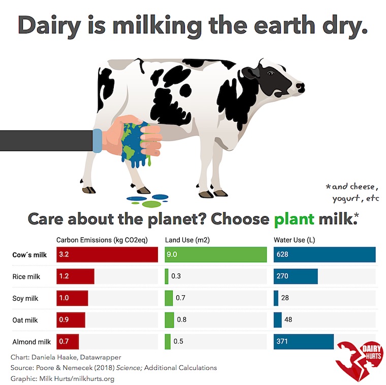 dairy environmental damage