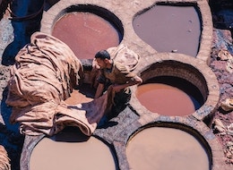 tannery