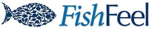 FishFeel