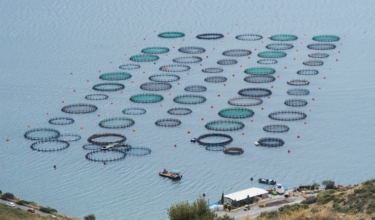 Fish farms