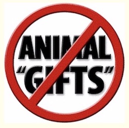 gifting animals