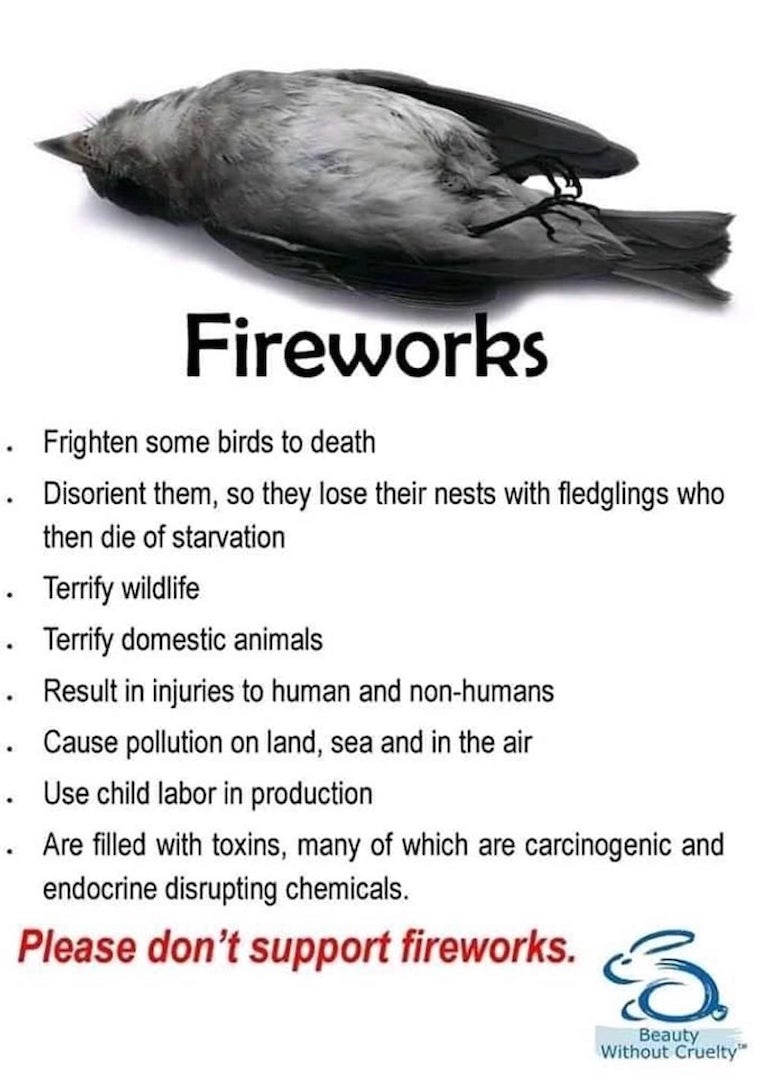 NO to fireworks