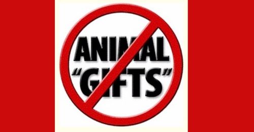 Animal Inhumanity All-Creatures.org Weekly Newsletter, December 7, 2022