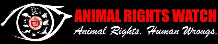 animal rights watch
