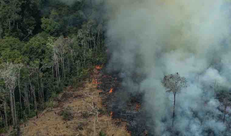 burning Amazon
