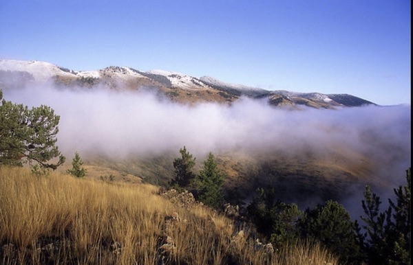 Elkhorn Mountains