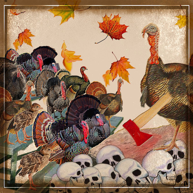 Turkey hatchet