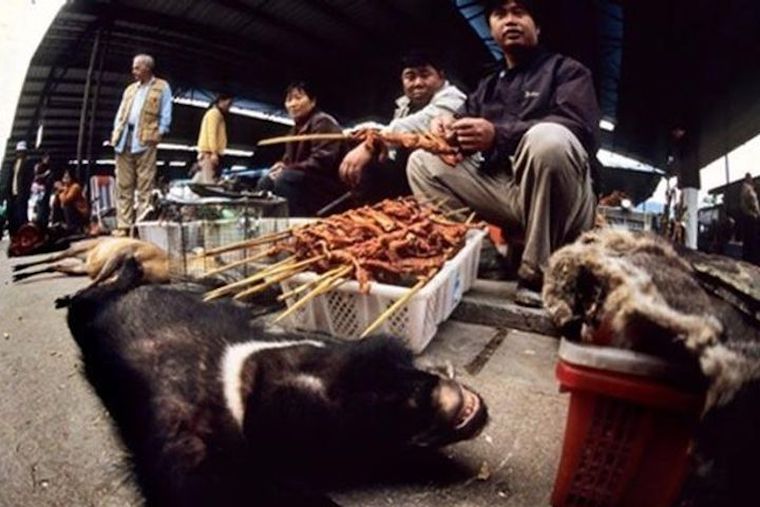 Wet Market