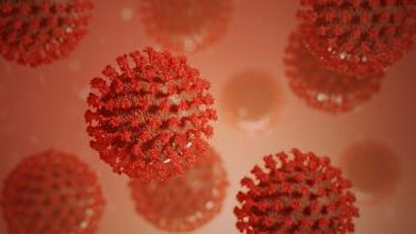 Covid-19-virus