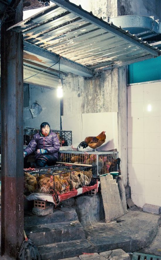 wet market
