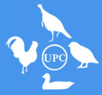 UPC