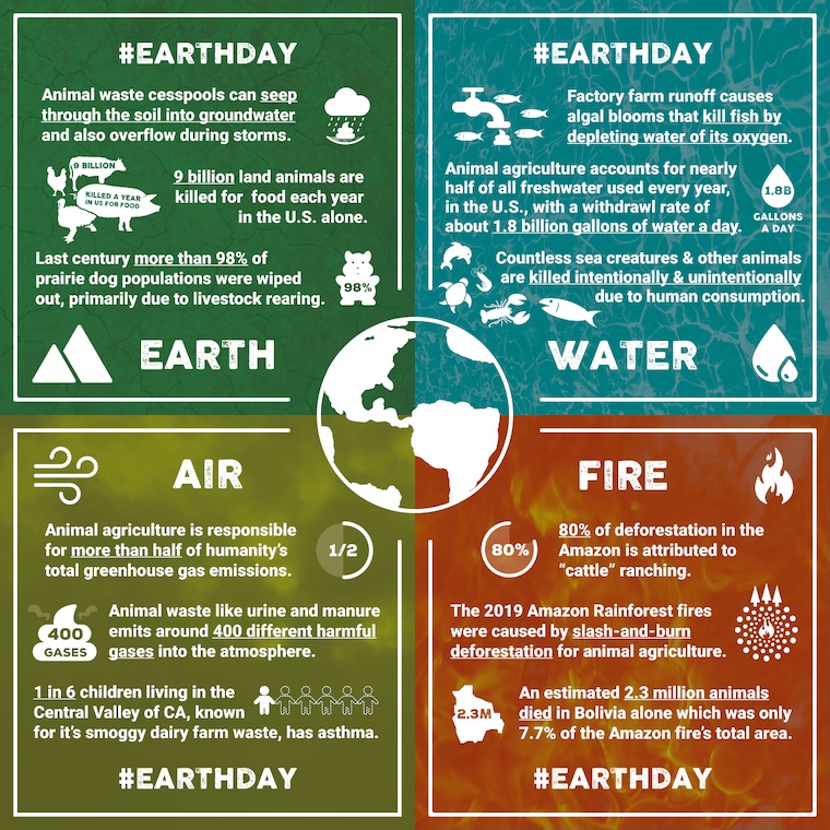 animal agriculture impacts