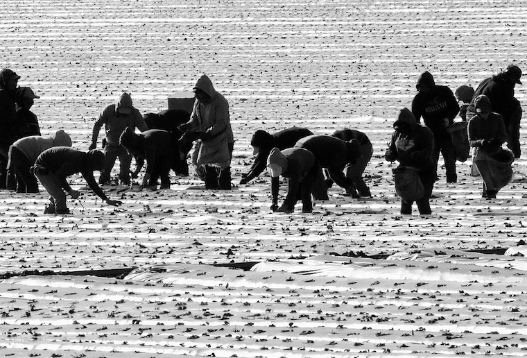 farmworkers