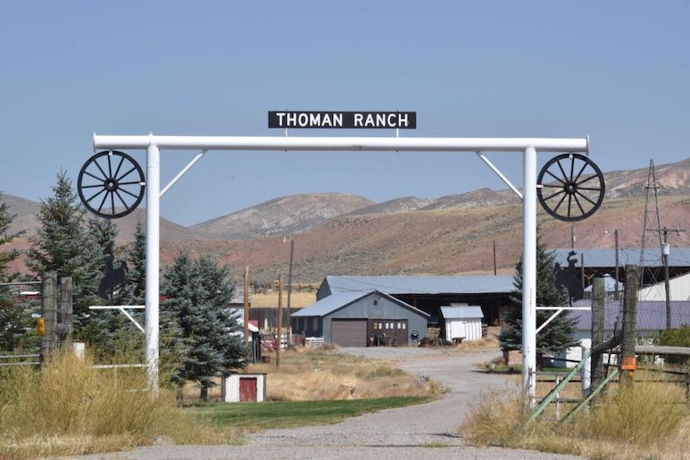 cattle ranch