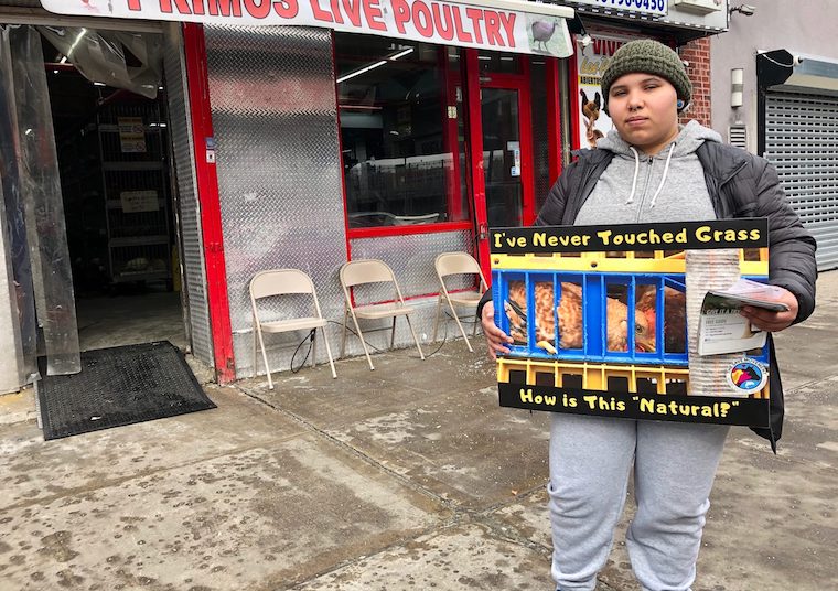 local slaughterhouse protested