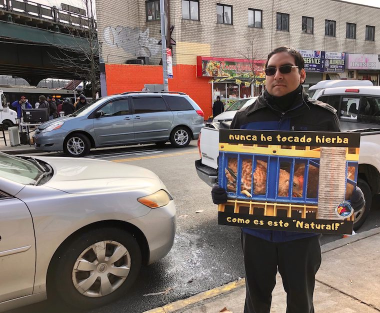 local slaughterhouse protested