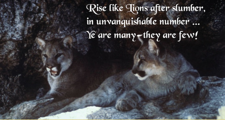 Rise Like Lions