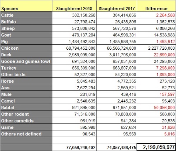 animals slaughtered
