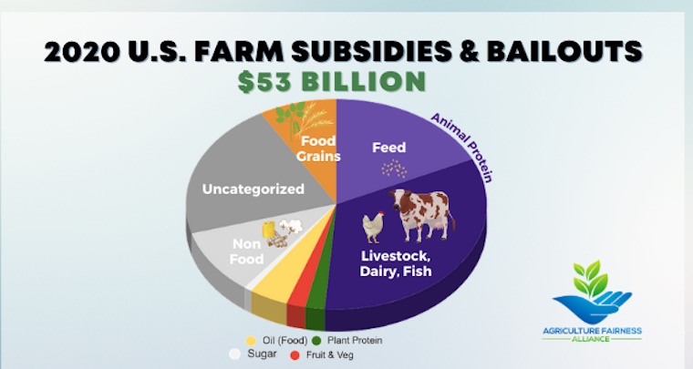 subsidies and bailouts