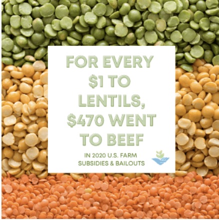 beef subsidies