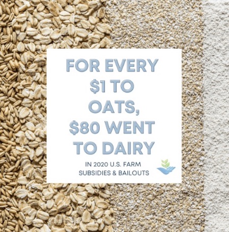 -dairy subsidies