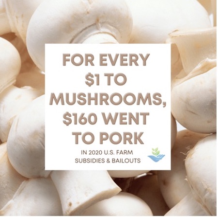 pork subsidies