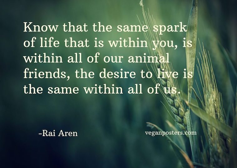 Rai Aren