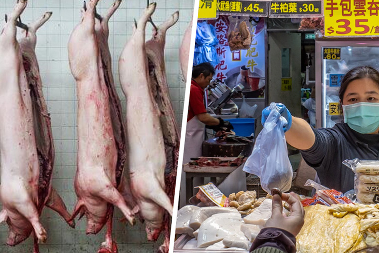 slaughtering animal