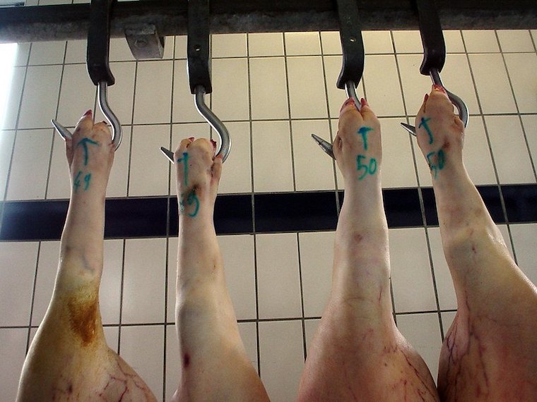 slaughterhouse