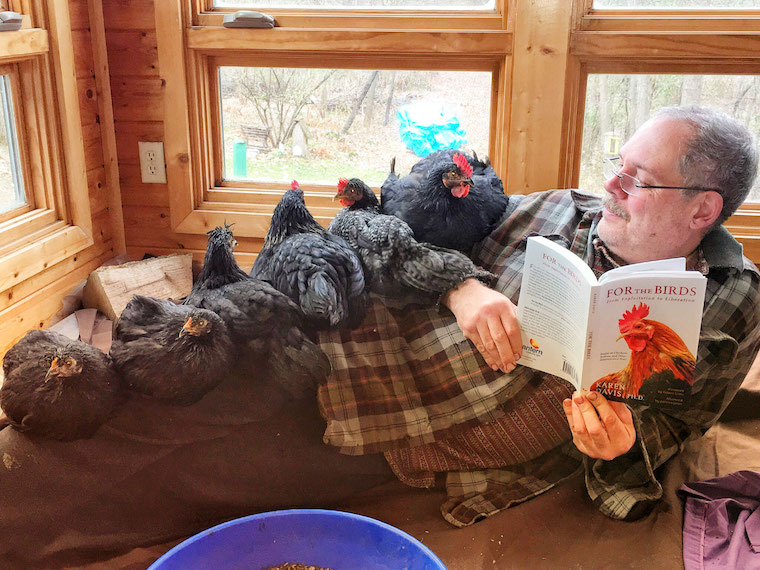 Bob McGrath and his Chicken Ladies