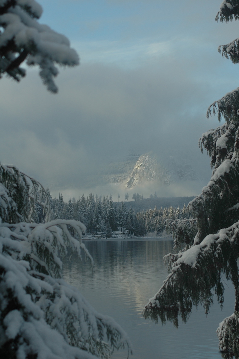 Washington snow