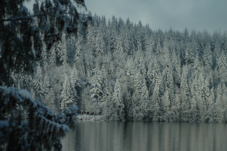 Washingtgon snow