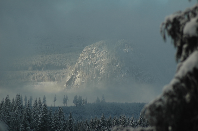 Washington snow