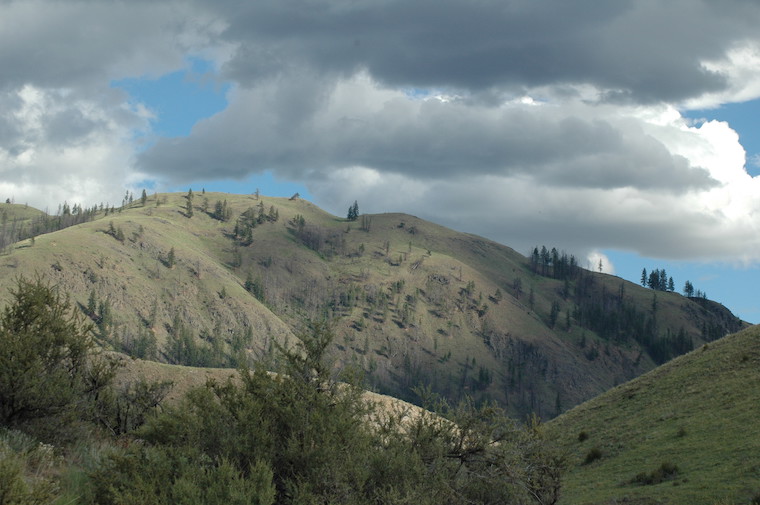 Washington scenery