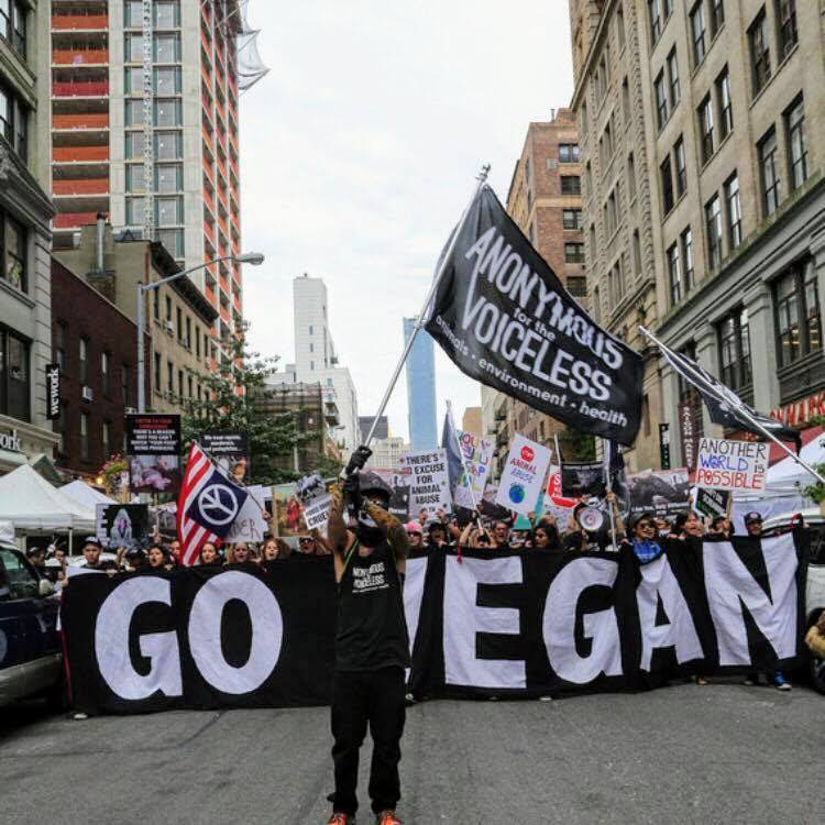 Angry March Hope after the march, which took place September 2nd, 2017 in New York