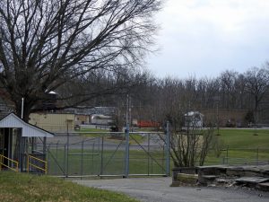 protesting animal testing