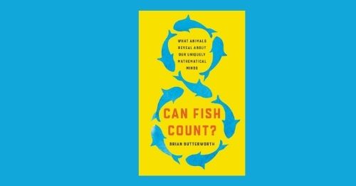 Can Fish Count?: What Animals Reveal About Our Uniquely Mathematical ...