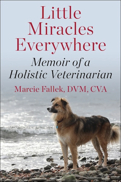 holistic veterinarian