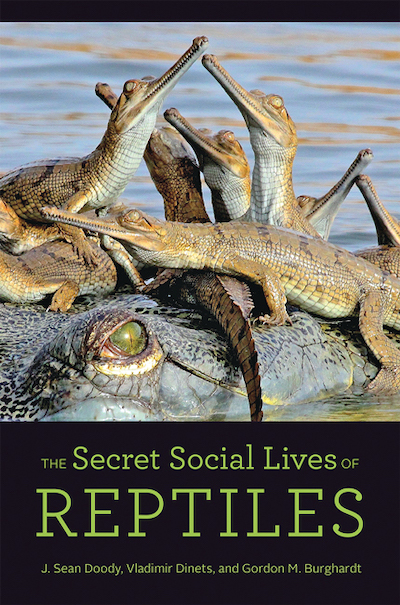 social reptiles