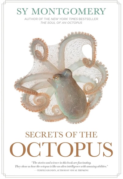 Octopus secrets
