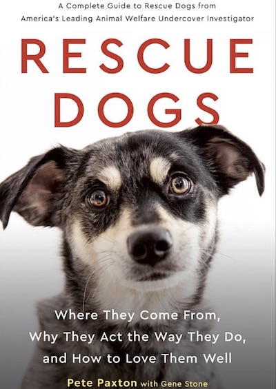 Rescue Dogs