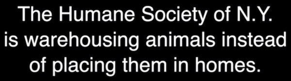 New York Humane Society