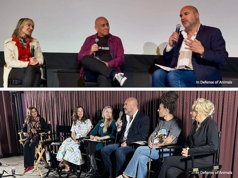 panel discussing film