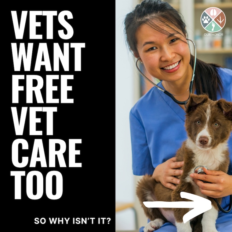 vegan Vet and Dog