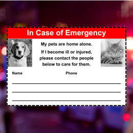 emergency alert card