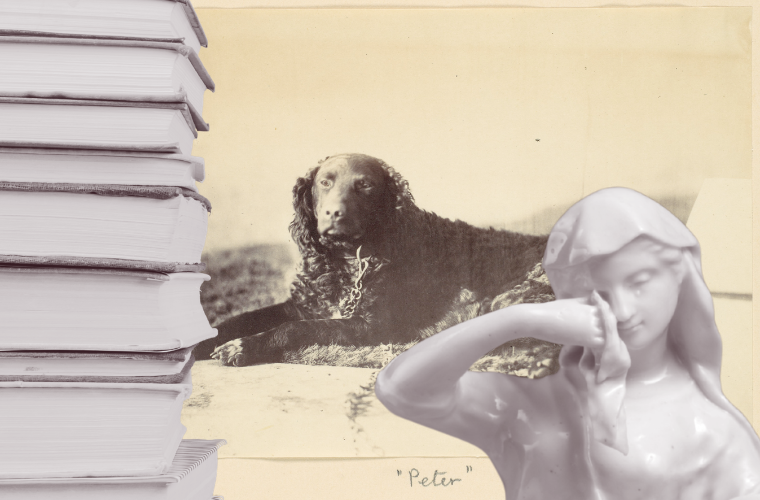 books, dog, and figure