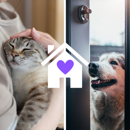 cat, dog, and house icon with heart
