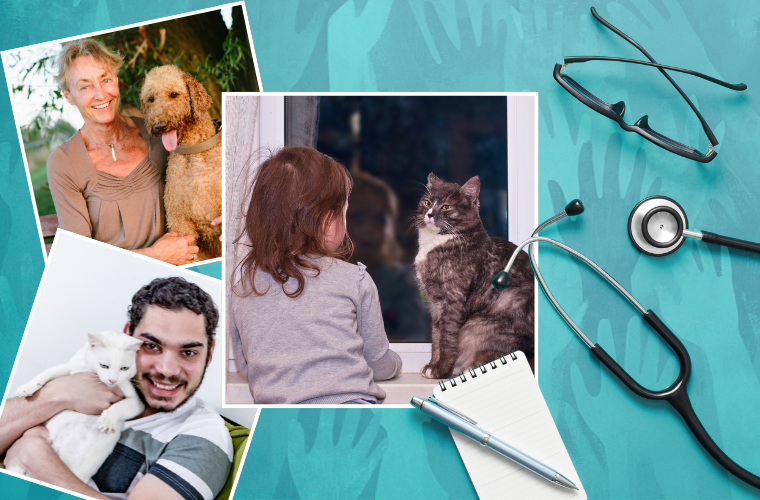 companion animals, humans, and medical items