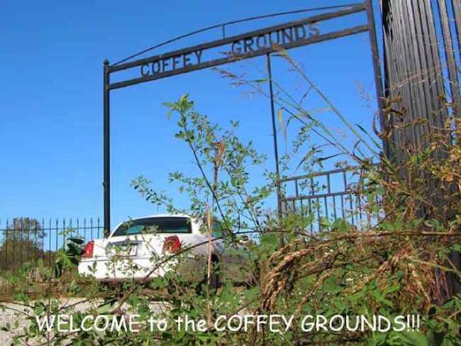 coffey grounds